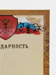 Бронзовый благодарность, благодарственное письмо, герб РТ, герб РФ, размер 21*29,7 см