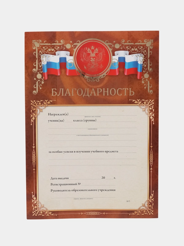 Благодарность, благодарственное письмо, герб РТ, герб РФ, размер 21*29,7 см