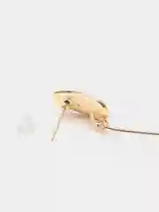 Конфетный серьги