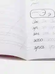 Зеленый прописи каллиграфические "Аниме" А5, 16 стр. Проф-Пресс