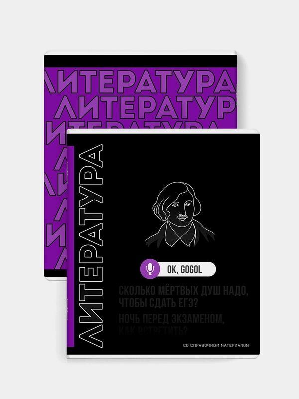 Тетрадь предметная Феникс+ "ЛИТЕРАТУРА", А5+, линия, мягкий переплёт, 48 л