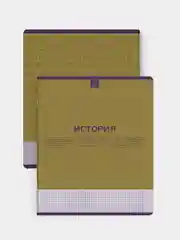 Тетрадь предметная Феникс+ "ИСТОРИЯ", А5+, клетка, переплёт "софт-тач", 48 л