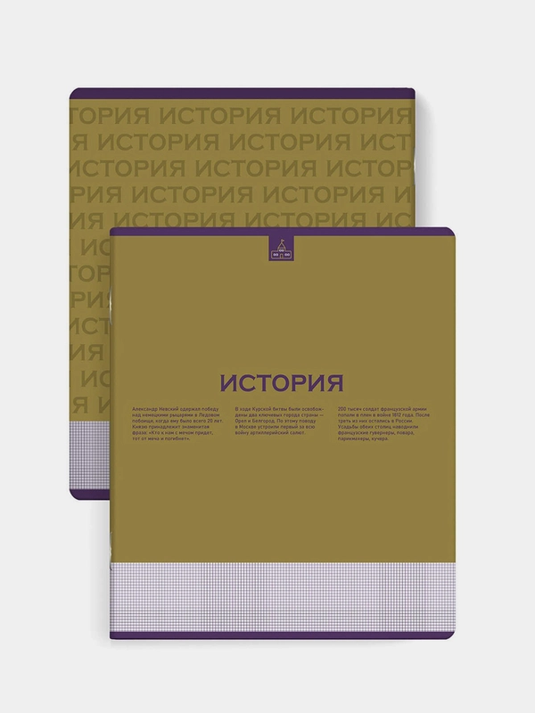 Тетрадь предметная Феникс+ "ИСТОРИЯ", А5+, клетка, переплёт "софт-тач", 48 л