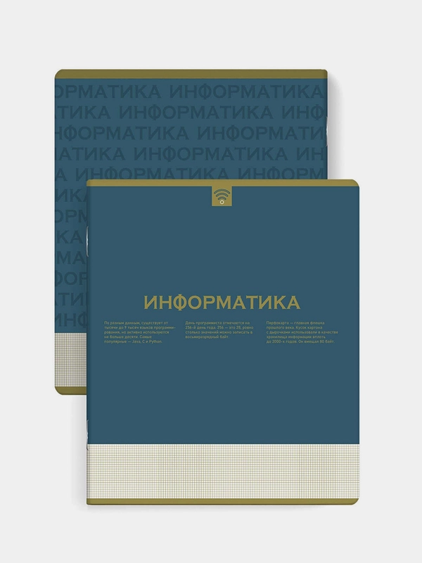 Тетрадь предметная Феникс+ "ИНФОРМАТИКА", клетка, переплёт "софт-тач", 48 л