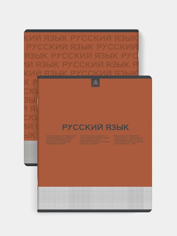 Тетрадь предметная Феникс+ "РУССКИЙ ЯЗЫК", линия, переплёт "софт-тач", А5+, 48 л