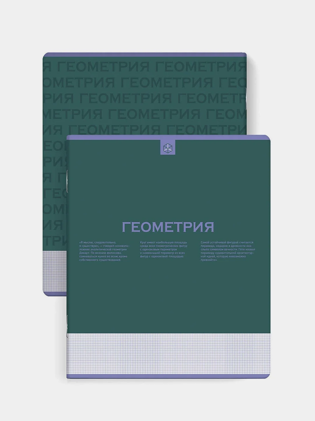 Тетрадь предметная Феникс+ "ГЕОМЕТРИЯ", клетка, переплёт "софт-тач", 48 л