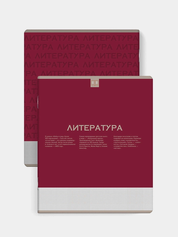 Тетрадь предметная Феникс+ "ЛИТЕРАТУРА", линия, переплёт "софт-тач", 48 л