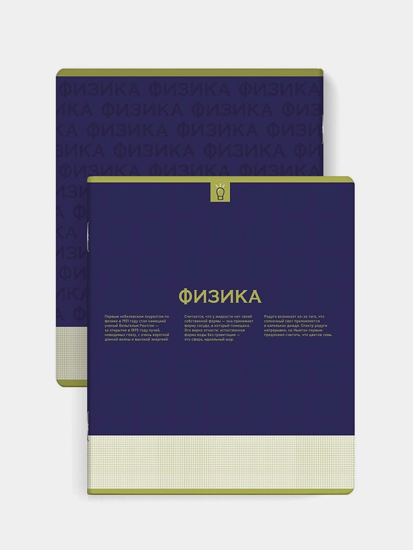Тетрадь предметная Феникс+ "ФИЗИКА", А5+, клетка, переплёт "софт-тач", 48 л