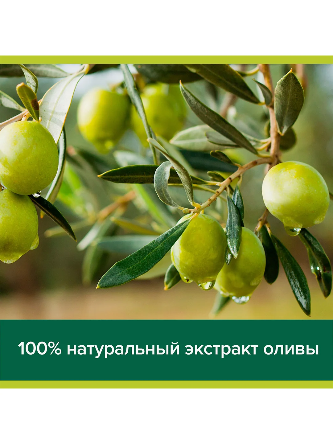 Жидкое мыло Palmolive Натурэл Олива и Увлажняющее молочко, 650 мл, 2 шт