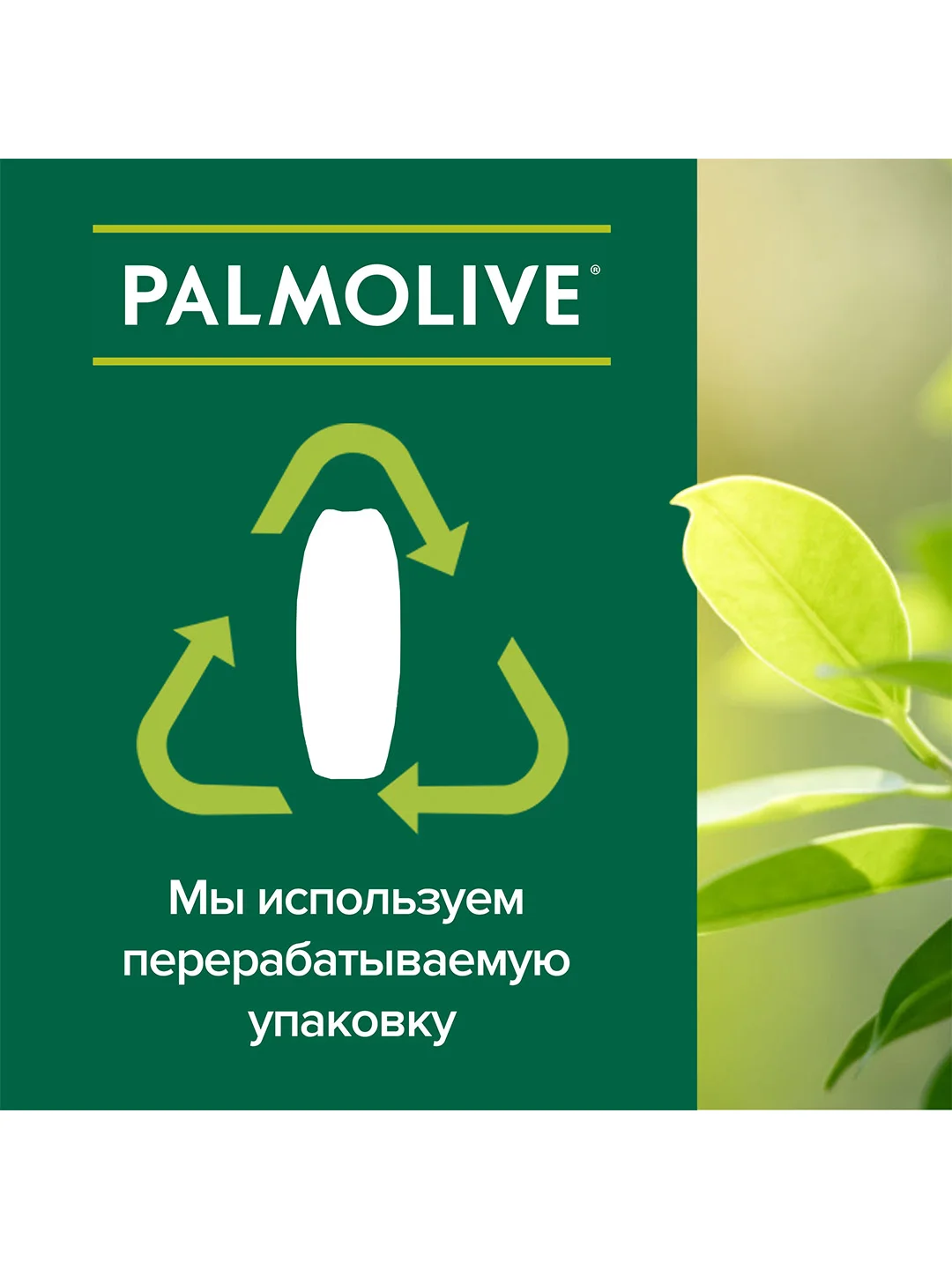 Гель крем для душа Palmolive мягкость Черная Орхидея с увлажняющим молочком, 750 мл, 2 шт