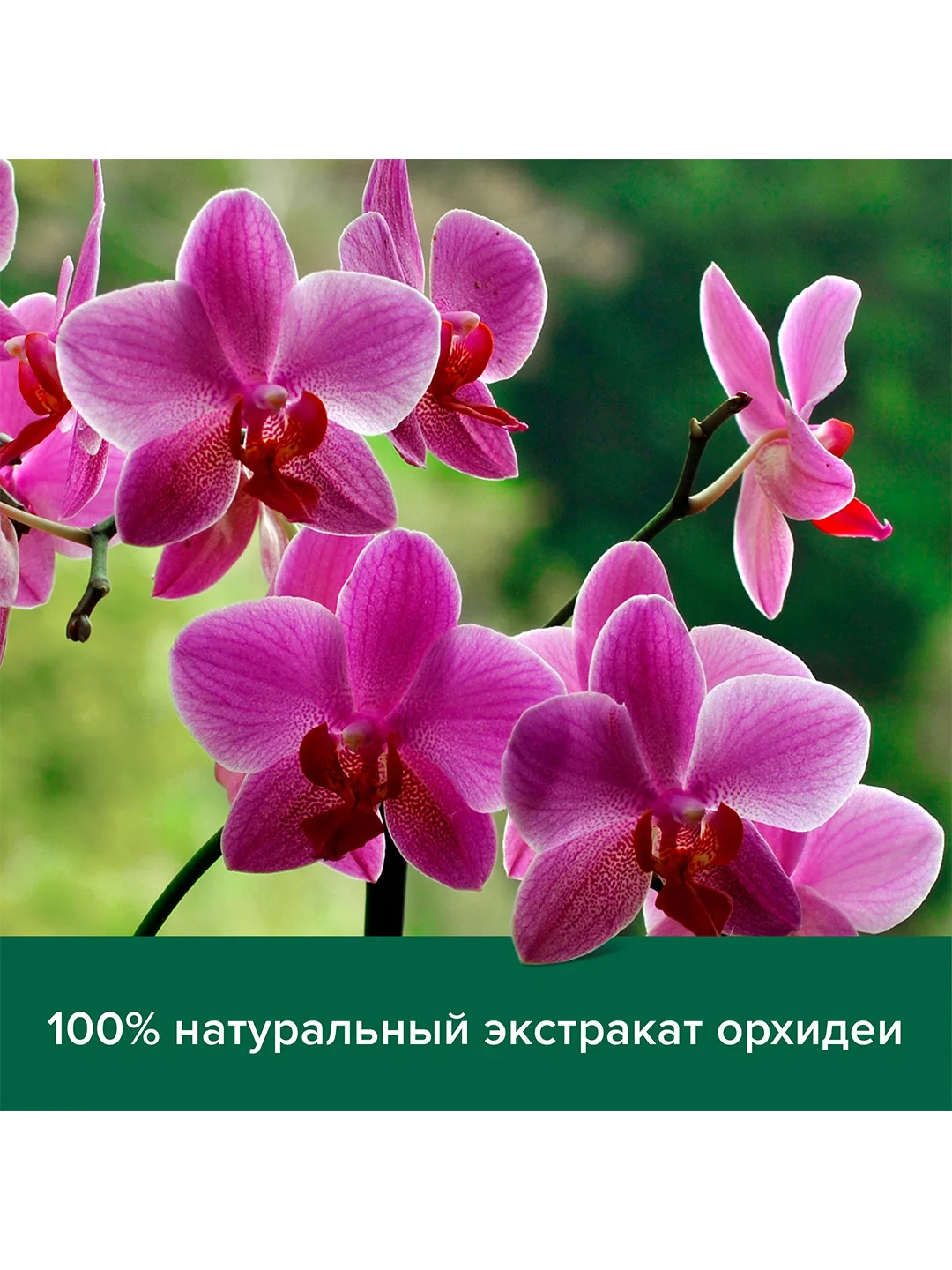 Гель крем для душа Palmolive мягкость Черная Орхидея с увлажняющим молочком, 750 мл, 2 шт