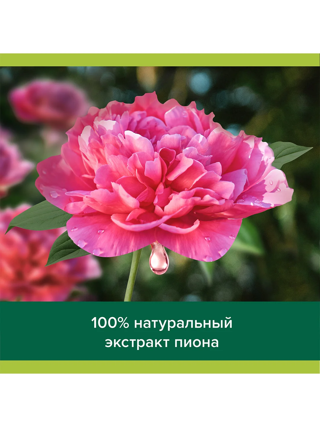 Гель для душа женский Palmolive с маслом Макадамии и экстрактом Пиона, 750 мл, 2 шт
