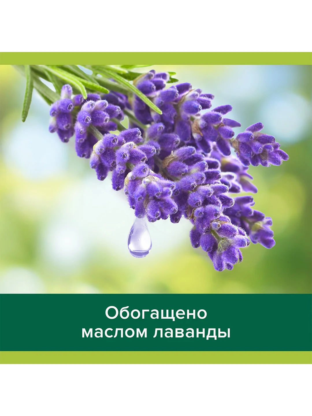 Гель для душа женский Palmolive с маслами Лаванды и Иланг-Иланга, 750 мл, 2 шт