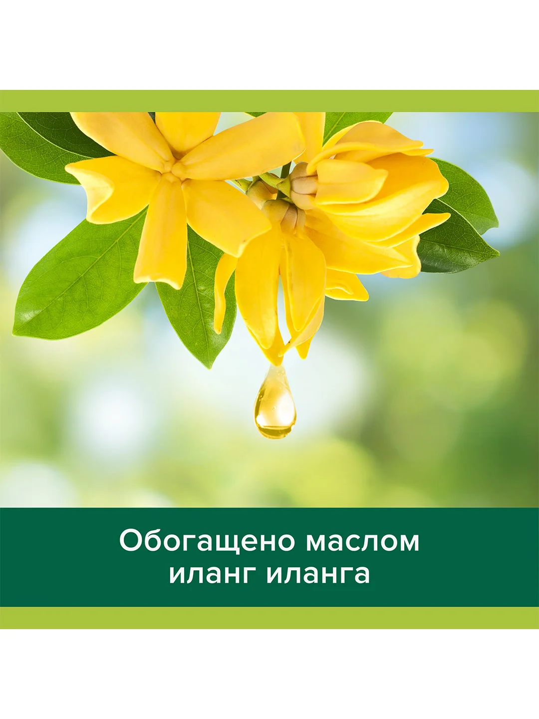 Гель для душа женский Palmolive с маслами Лаванды и Иланг-Иланга, 750 мл, 2 шт