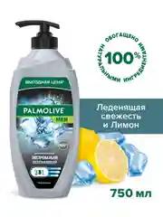 Гель для душа мужской Palmolive MEN Арктический ветер 3 в 1 для тела, волос и лица, 750 мл