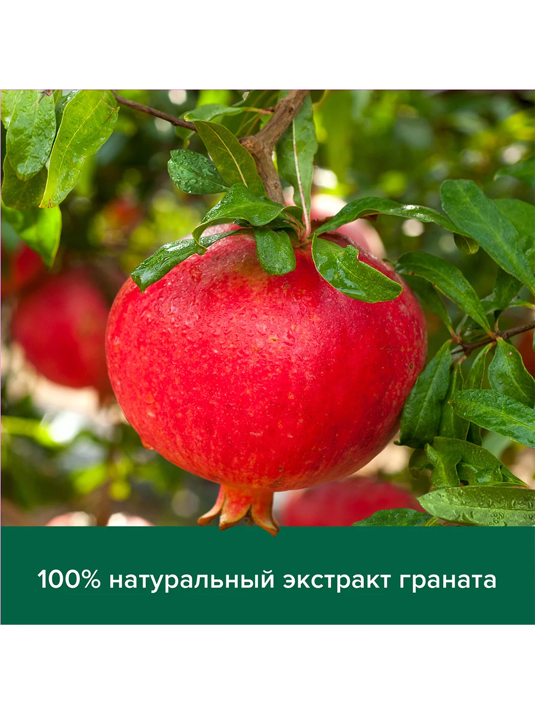 Гель крем для душа женский Palmolive Витамин B и Гранат с увлажняющим молочком, 750 мл