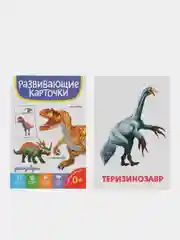 Аметистовый развивающие карточки для детей двусторонние 19 шт. 120х180 мм. Проф-Пресс