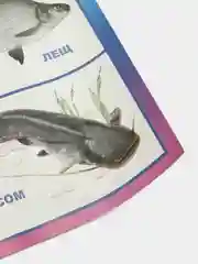 Голубой плакат Обитатели морей и океанов. Рыбы речные. Наглядное пособие для детского сада и школы