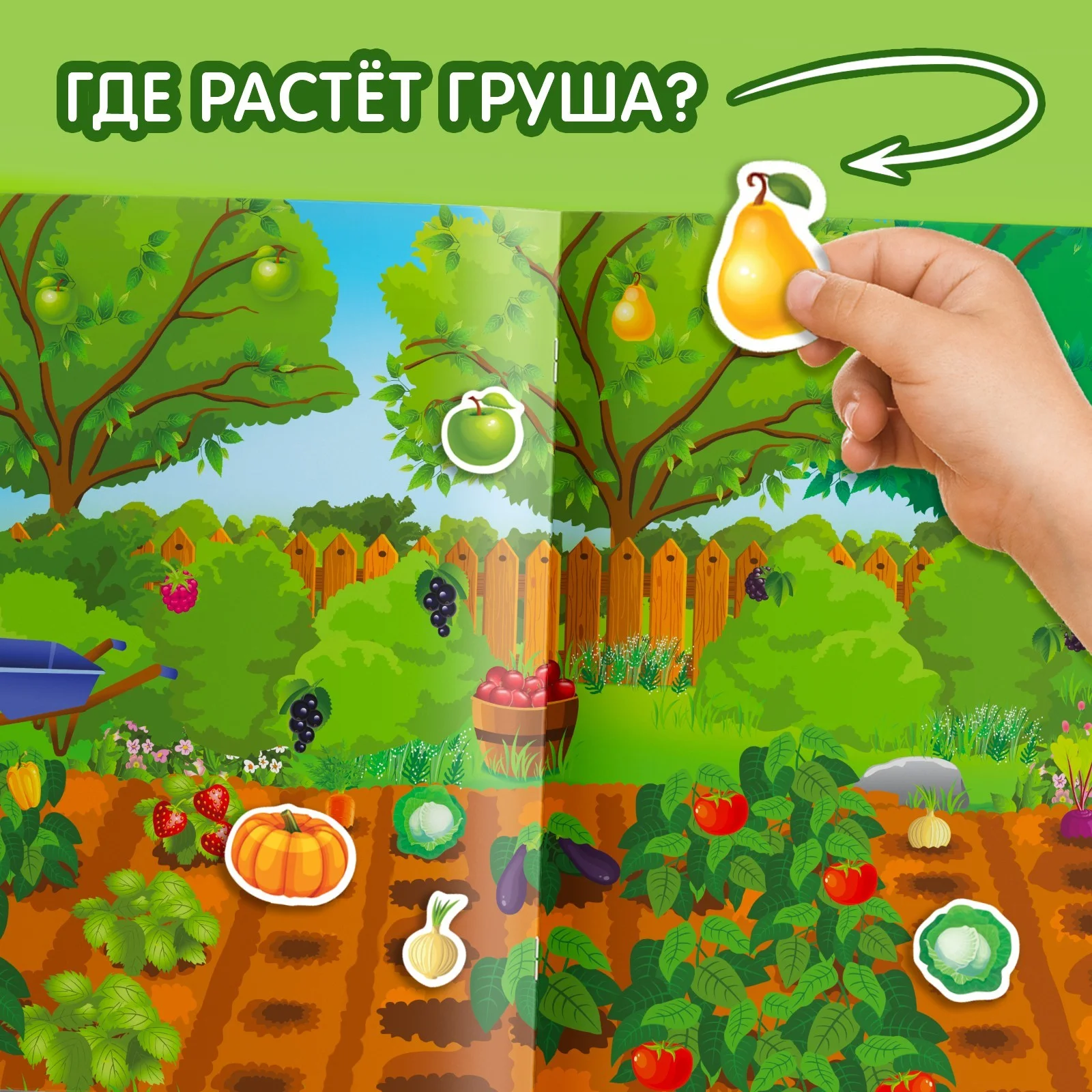 Наклейки многоразовые Что где растёт, формат А4