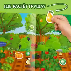 Наклейки многоразовые Что где растёт, формат А4