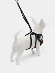 Поводок для собак