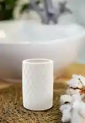 Стакан для зубных щеток "Lily"