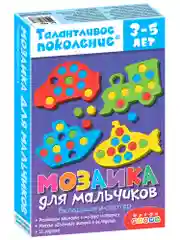 Талантливое поколение. Мозаика для мальчиков Дрофа-Медиа