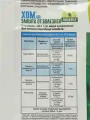 Green Belt ХОМ защ от болезней 40г