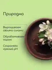 Гидролат Яблоко, тоник для сухой и чувствительной кожи, craftzabota 100 мл
