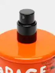 Туалетная вода для мужчин "GARAGE ORANGE", 100 мл