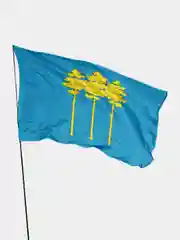 Флаг города Димитровград 135х90см