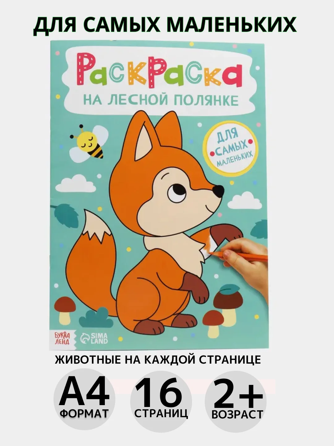 Оранжевый раскраска, А4, 16 страниц