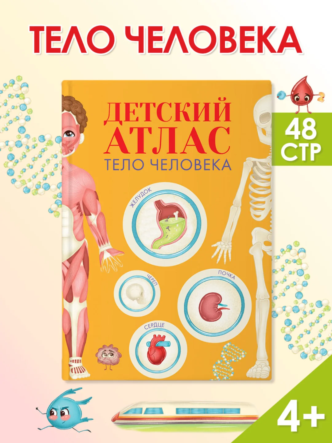 Энциклопедия для детей. Детский Атлас "Тело человека" 48 стр. 236 х 336 мм. Проф-Пресс