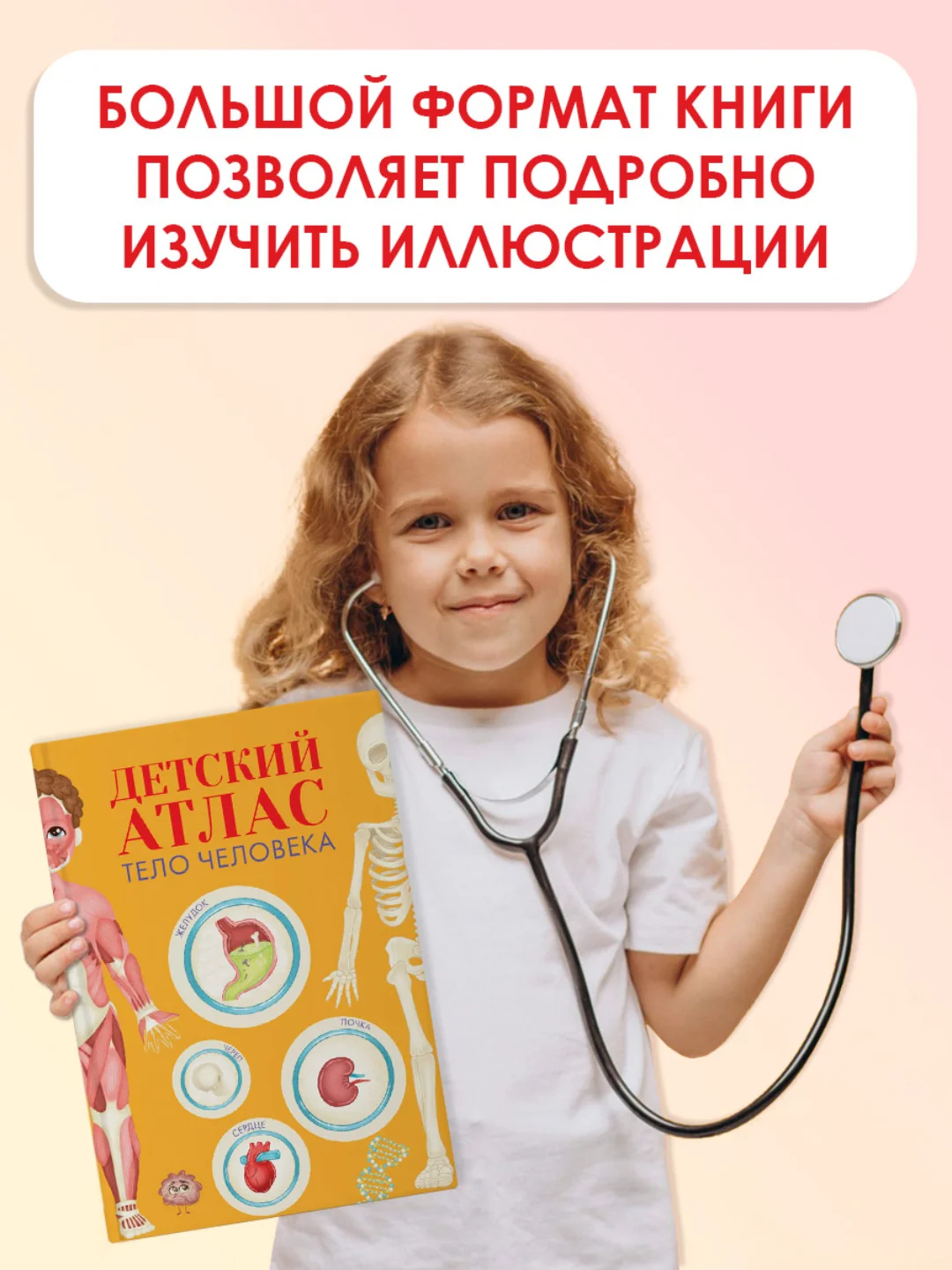 Энциклопедия для детей. Детский Атлас "Тело человека" 48 стр. 236 х 336 мм. Проф-Пресс