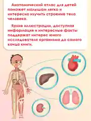 Энциклопедия для детей. Детский Атлас "Тело человека" 48 стр. 236 х 336 мм. Проф-Пресс