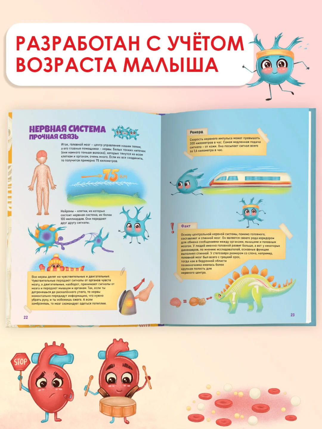 Энциклопедия для детей. Детский Атлас "Тело человека" 48 стр. 236 х 336 мм. Проф-Пресс