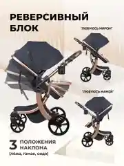 Коляска для новорожденных трансформер 2 в 1 Aimile Original New Gold, черный