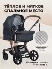 Коляска для новорожденных трансформер 2 в 1 Aimile Original New Gold, черный