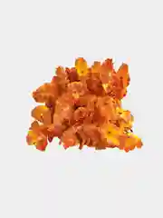 Оранжевый искуственные цветы "Сакура", розовый, голубой, жёлтый, белый букет