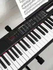 Черный цифровое пианино-синтезатор ON Maestro, MIDI, 88 клавиш (компактные), черный