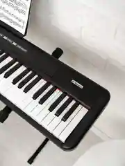 Черный цифровое пианино-синтезатор ON Maestro, MIDI, 88 клавиш (компактные), черный