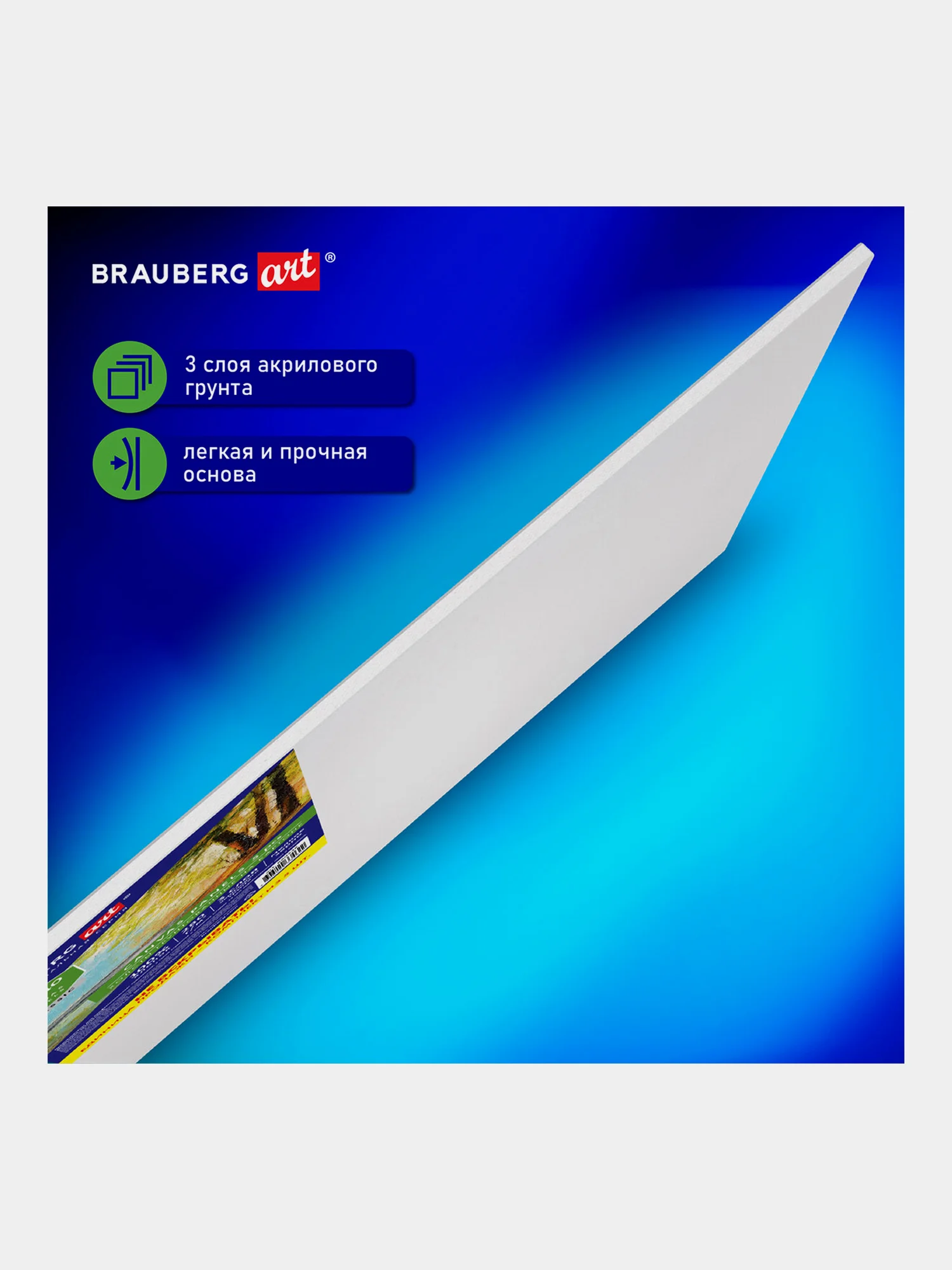 Холст на картоне набор 5 штук 30х40 см, 280 г м2, грунт, 100% хлопок, Brauberg Art Classic