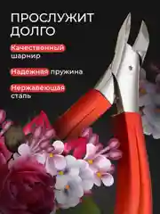 Красный кусачки для ногтей педикюрные REVOLUT, нержавеющая сталь