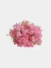 Розовый искусственные цветы Мелкоцвет, красные, синие, желтые, белые, розовые, голубые, фиолетовые