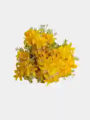 Искусственные цветы Мелкоцвет, красные, синие, желтые, белые, розовые, голубые, фиолетовые