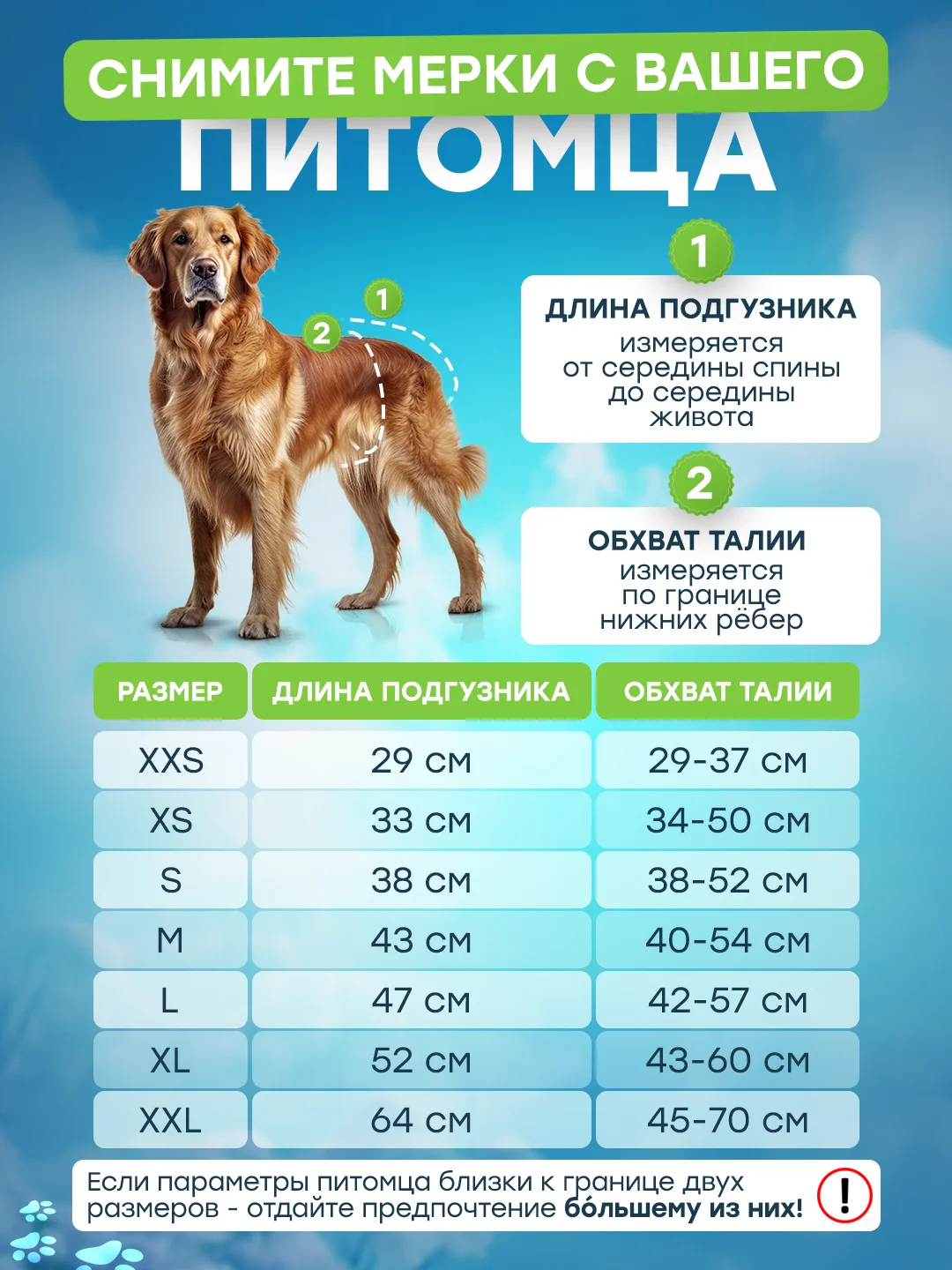 Подгузники для животных, собак женского пола, кошек, котов