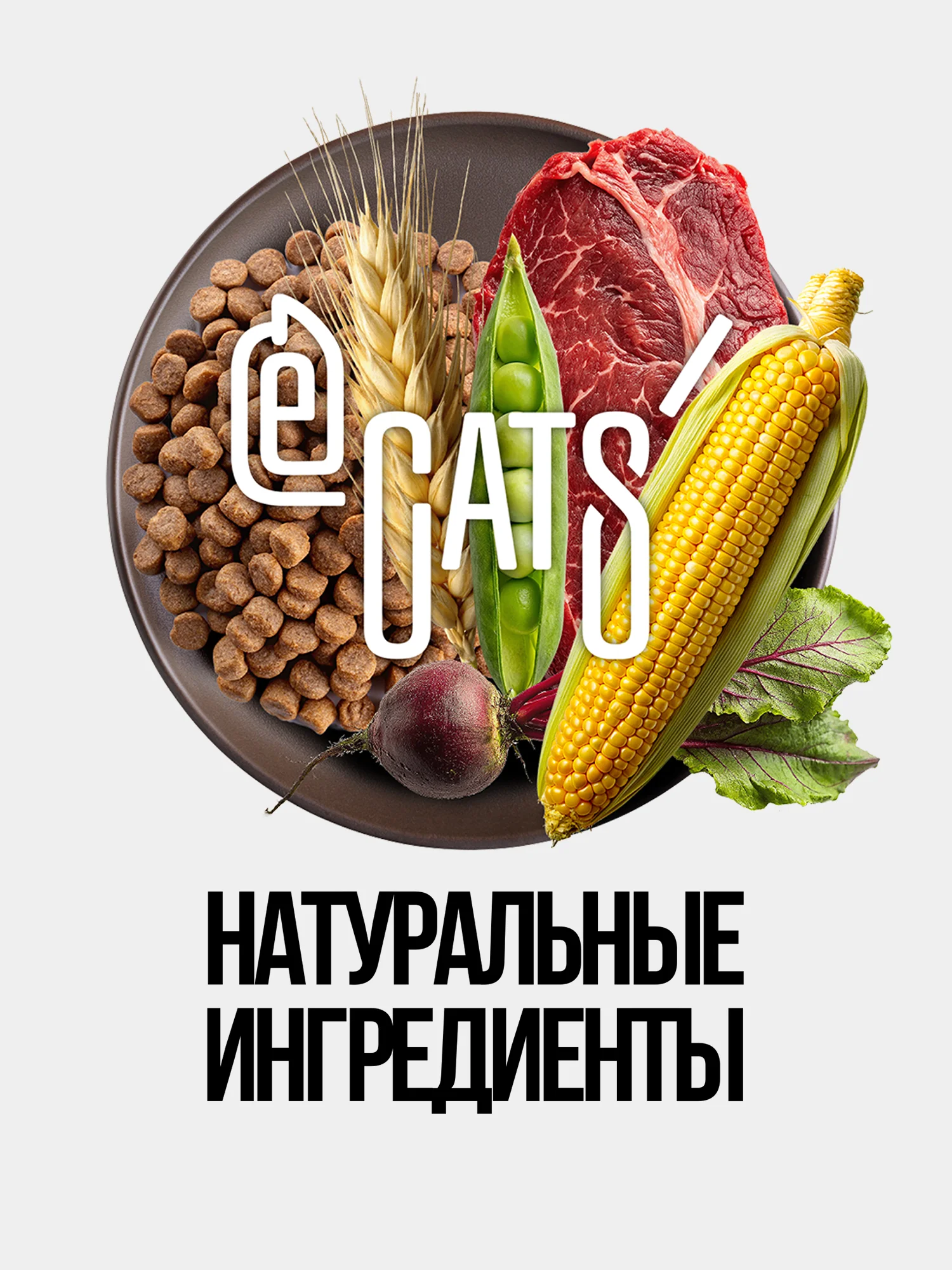 Корм сухой ECATS для кошек с говядиной, 10 кг