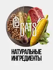 Корм сухой ECATS для кошек с говядиной, 10 кг