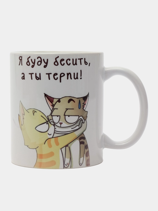 Кружка сувенирная, подарочная, с принтом  " Я буду бесить тебя, а ты терпи "