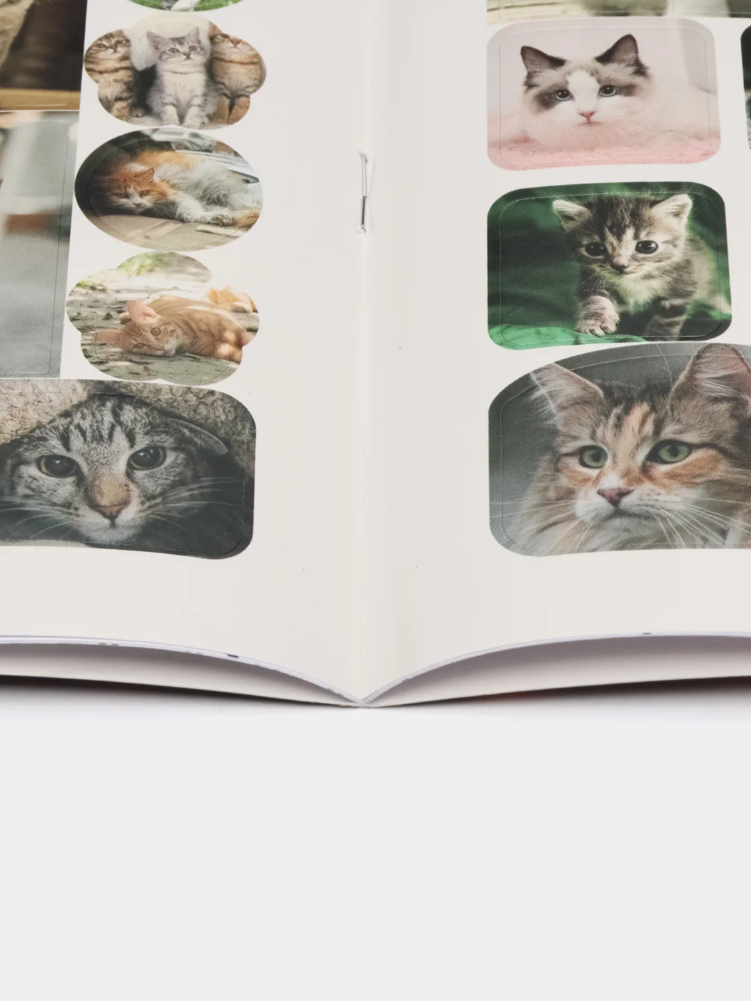 Коричневый раскраска с Наклейками Единорог, Космос, Мотоциклы